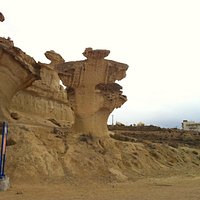 Amazing nature carvings