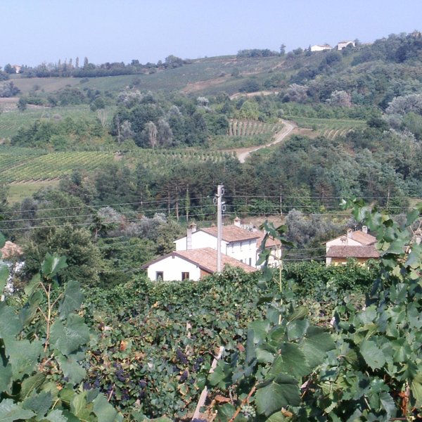 AZIENDA AGRICOLA CALATRONI (Santa Maria della Versa) 2022 What to