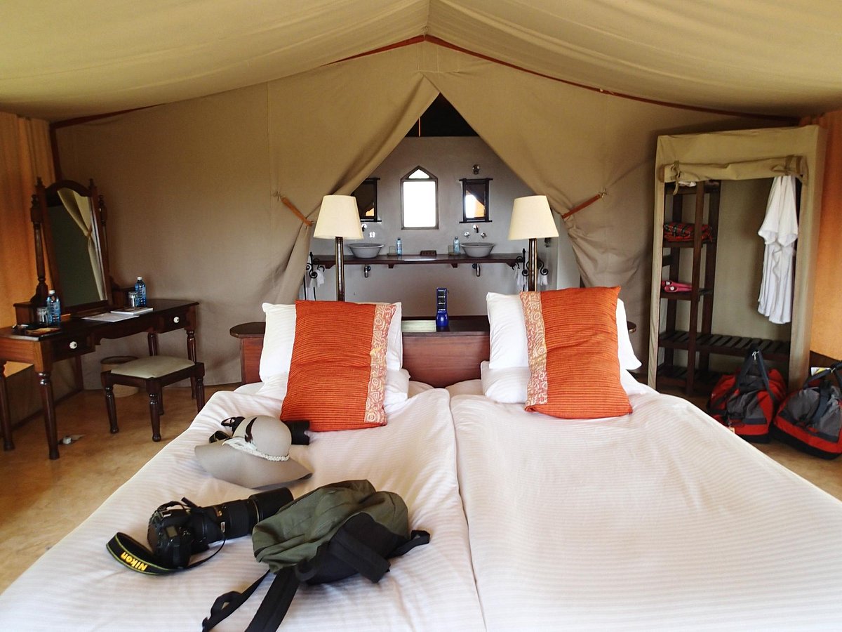 Lodge campsite Lodge campsite