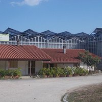 butterfly farm - veduta d'insieme