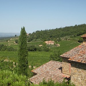 Sant'Agnese Farm - Boutique Winery Tuscany