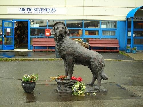 Sea Dog Bamse 1937-1944