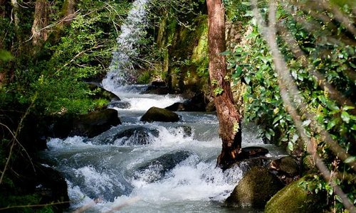 23 Cascadas naturales