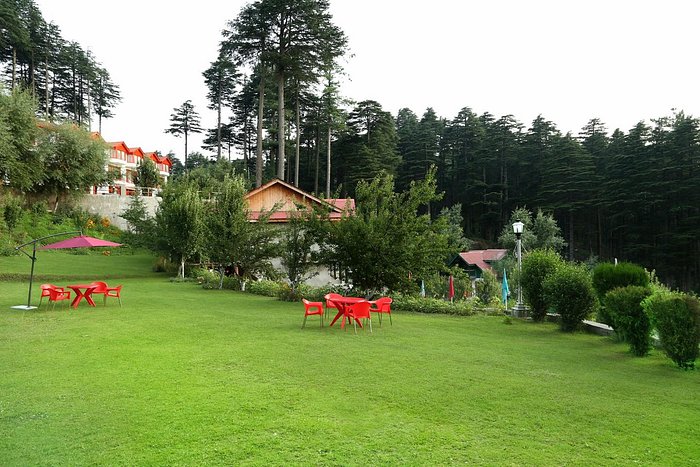 Hotel Samson Patnitop: Unwind in Luxury Amidst Nature Hotel Samson Patnitop: Unwind in Luxury Amidst Nature