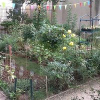 enclos dans le Jardin Anne Franck