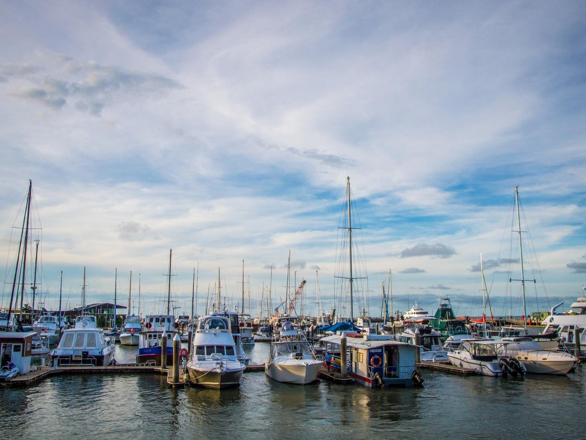 CAIRNS HARBOUR CRUISES (2025) All You MUST Know Before You Go