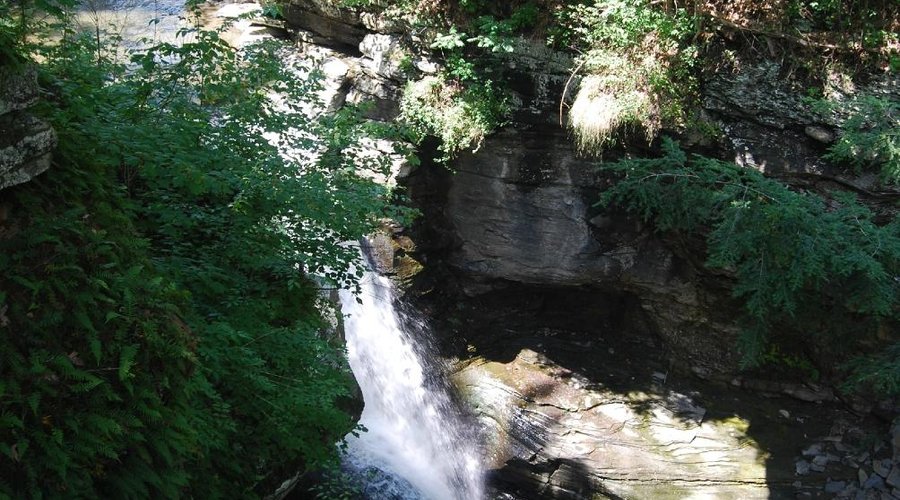 Water Fall