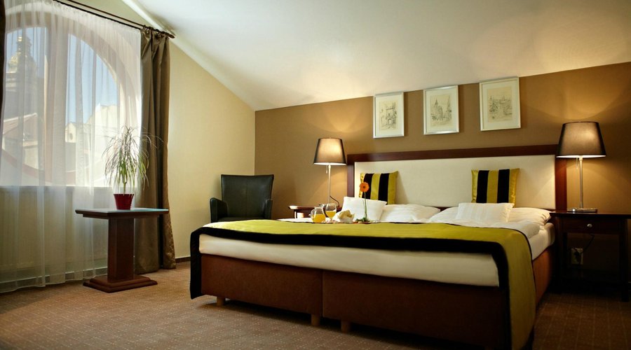 Hotel Bristol Double room