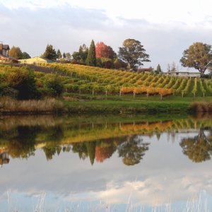 Pine Hill Lodge