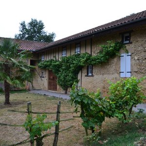 Habitaciones
