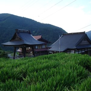 Surrounding fields