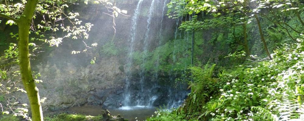 Magical Bilsdean Waterfall