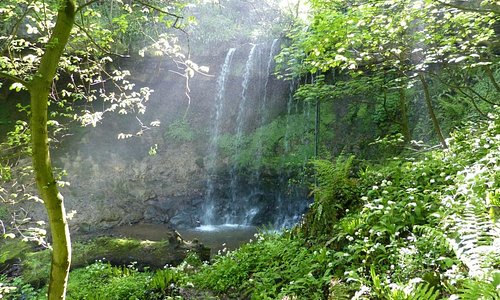 Magical Bilsdean Waterfall
