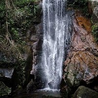 Cachoeira da Feiticeira.jpg - Ilha Grande- RJ