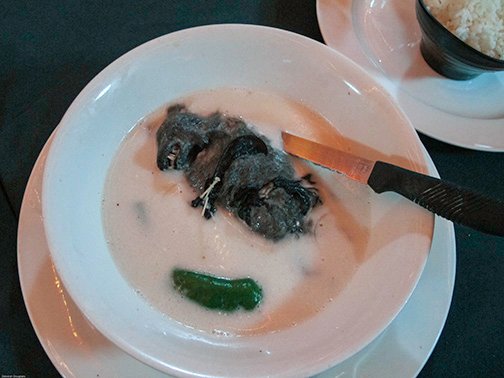 Fruit Bat Soup. NOT!