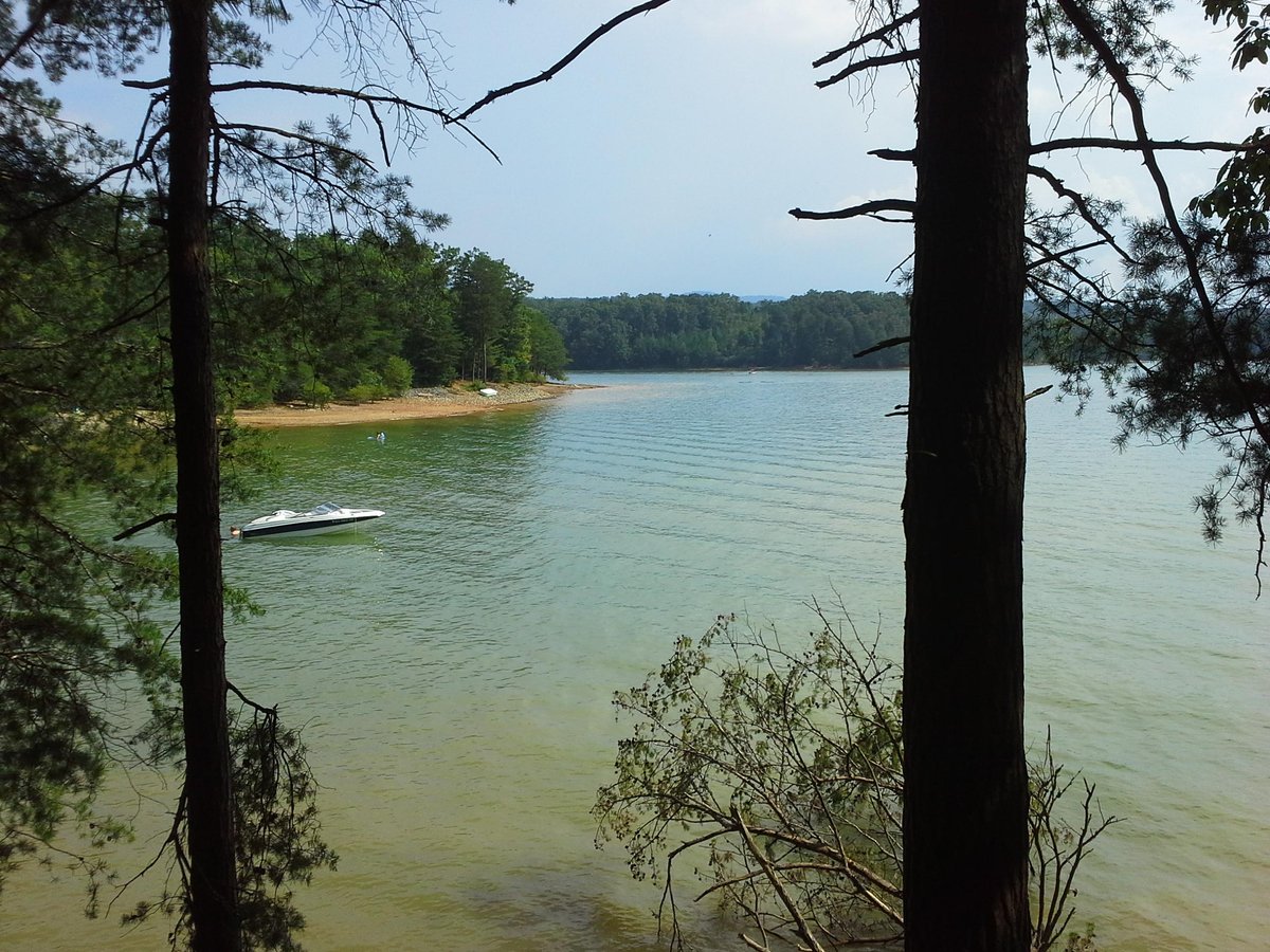 Escape to the Enchanting Shores of Morganton Point Campground: Your Georgia Getaway Awaits!