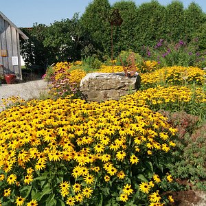 Whitefish Dunes State Park (Sturgeon Bay) - All You Need to Know BEFORE ...