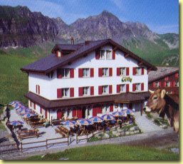 "Gemsy" im Sommer