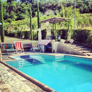 Elegant Swimming Pool