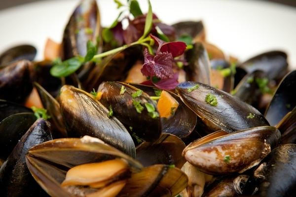 Renvyle mussels steamed with white wine and garlic cream
