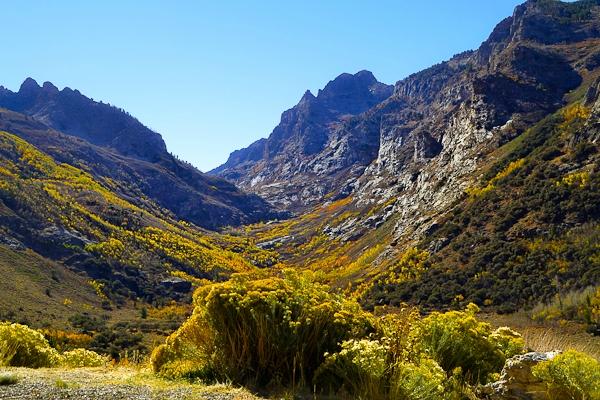 Ruby mountains store