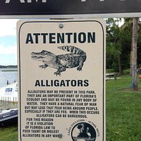 Alligator sign!