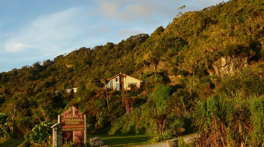 Hydrangea cottages
