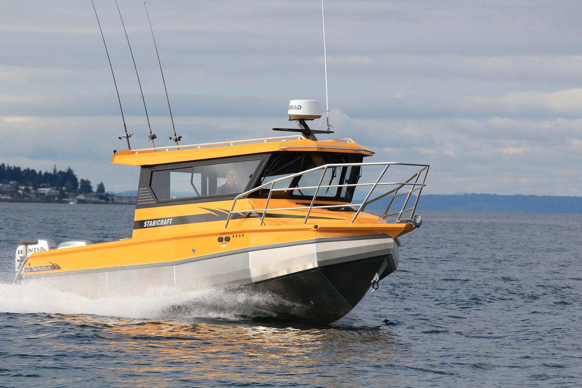 sea wolf tours vancouver island