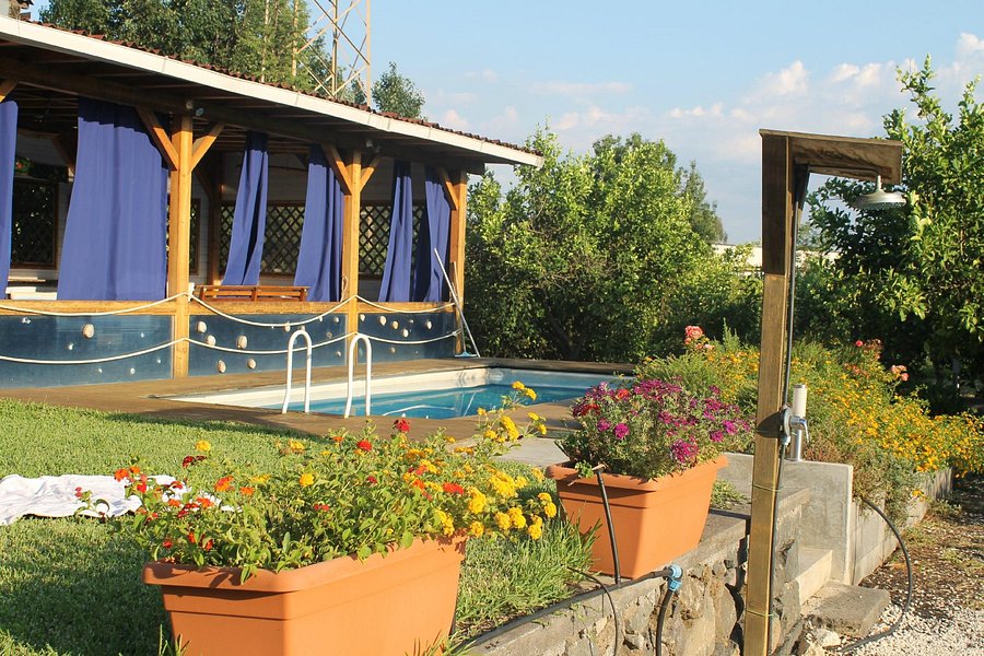 Madonna! 39+  Verità che devi conoscere  Agriturismo In Sicilia Prezzi Convenienti: Agriturismo sicilia, trova l'agriturismo in sicilia tra i migliori agriturismi in sicilia.