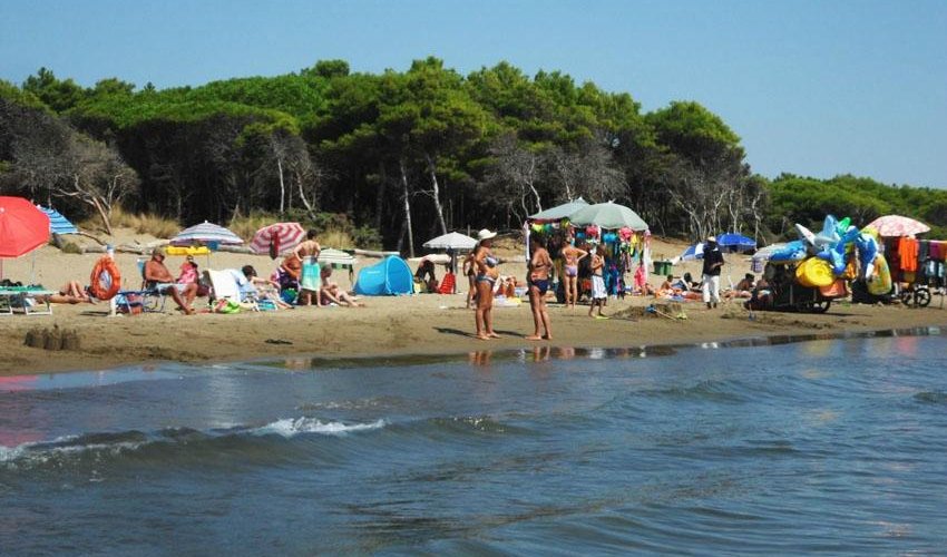 La spiaggia e la pineta