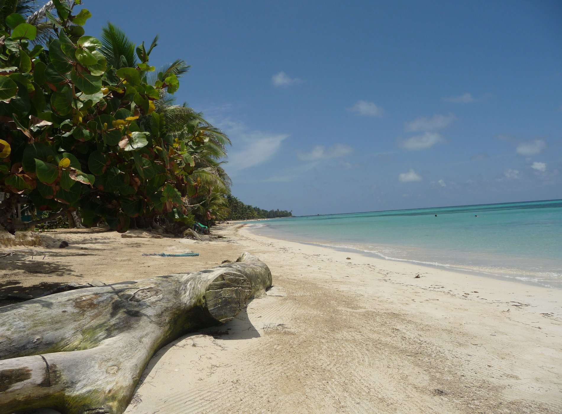 Little Corn Beach and Bungalow by null