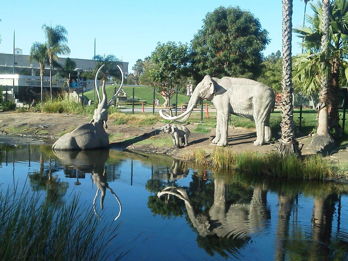 La Brea Tar Pits