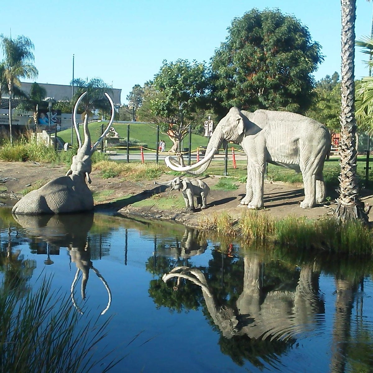 La Brea Tar Pits - A Surprising Find in the Heart of Los Angeles