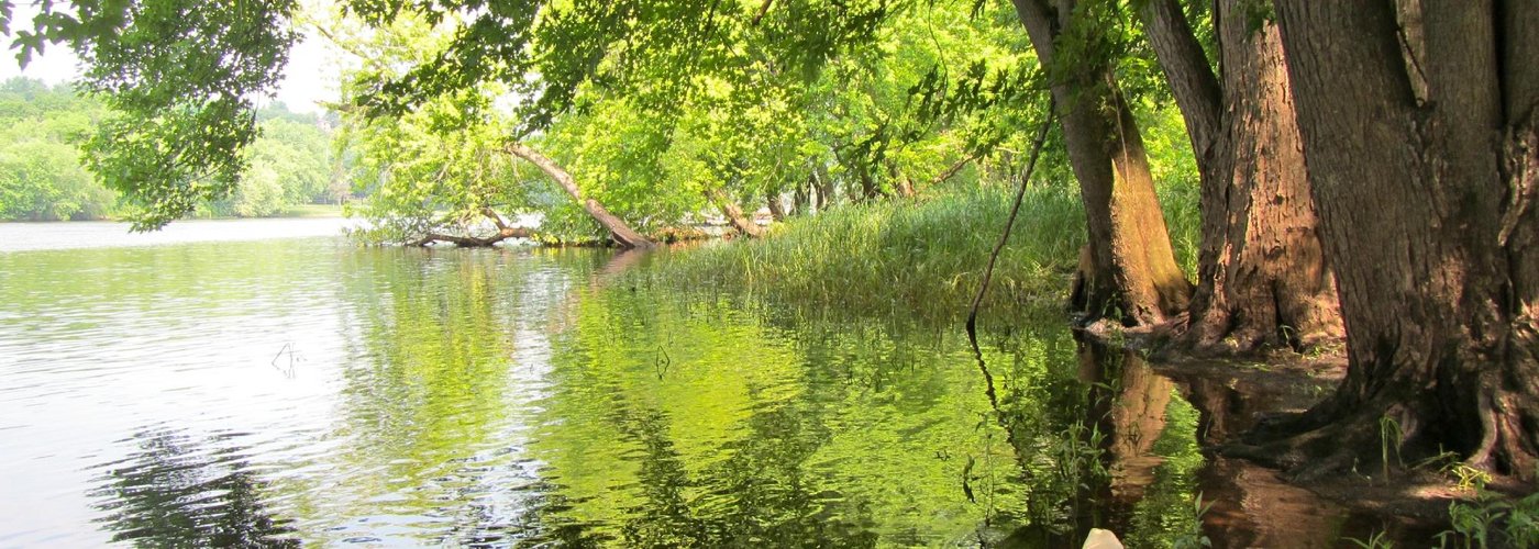 canoe over st. croix river
