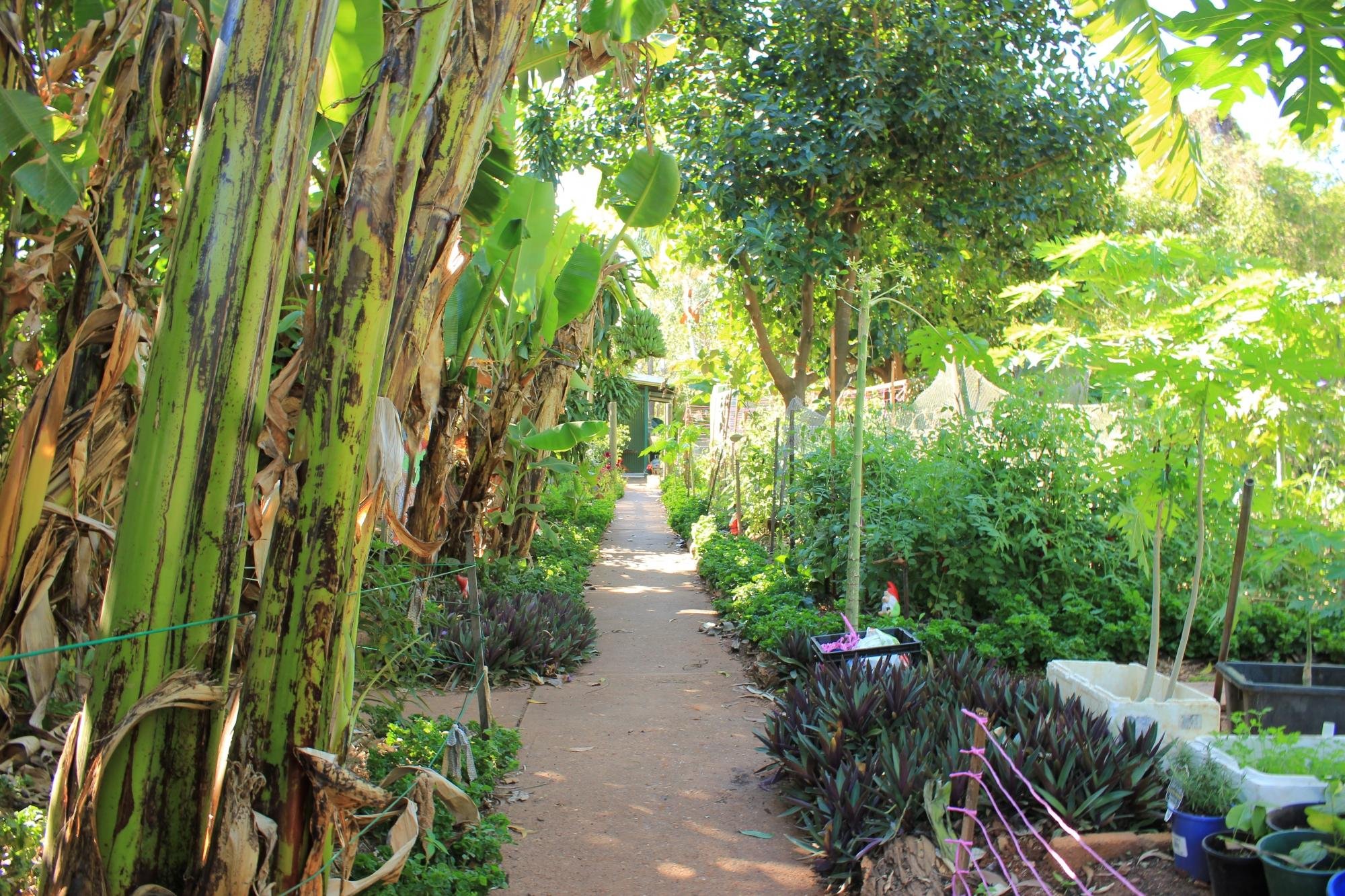 Batchelor Butterflyfarm by null
