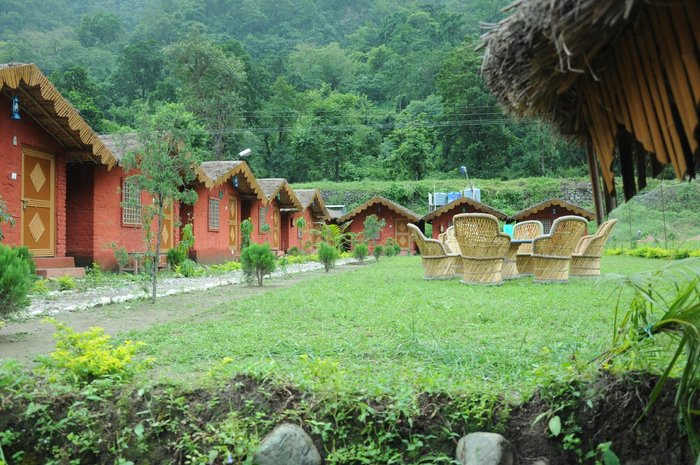 Jungle Camp in Rishikesh