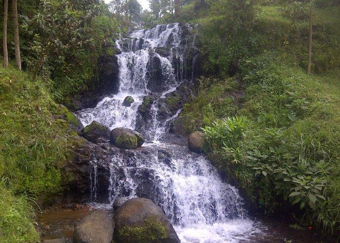 Explore the natural beauty of the slopes of Mt.Kilimanjaro.