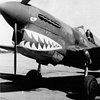 P-40_Warhawk