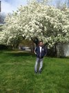 Satish Joshi