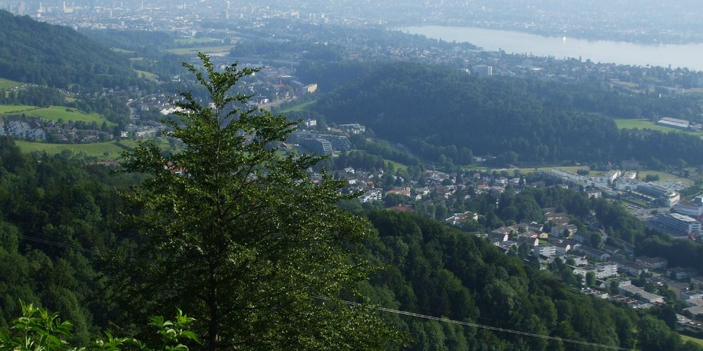 Stallikon Tourismus in Stallikon Tripadvisor