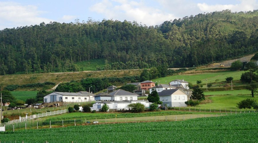 Vistas desde la habitacion