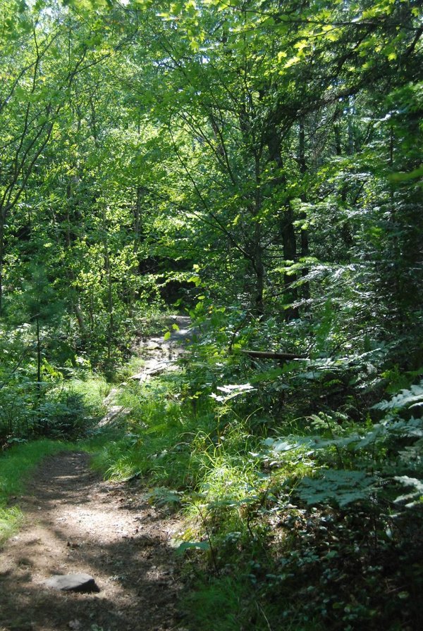 Where History Meets Nature: Unveiling the Treasures of Massachusetts Western Gateway Heritage State Park