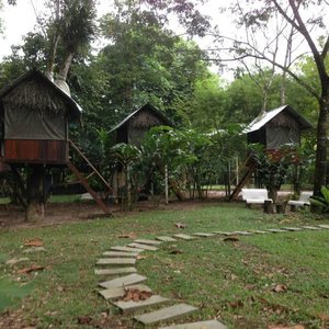 Treehouses