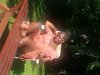 princess777uk