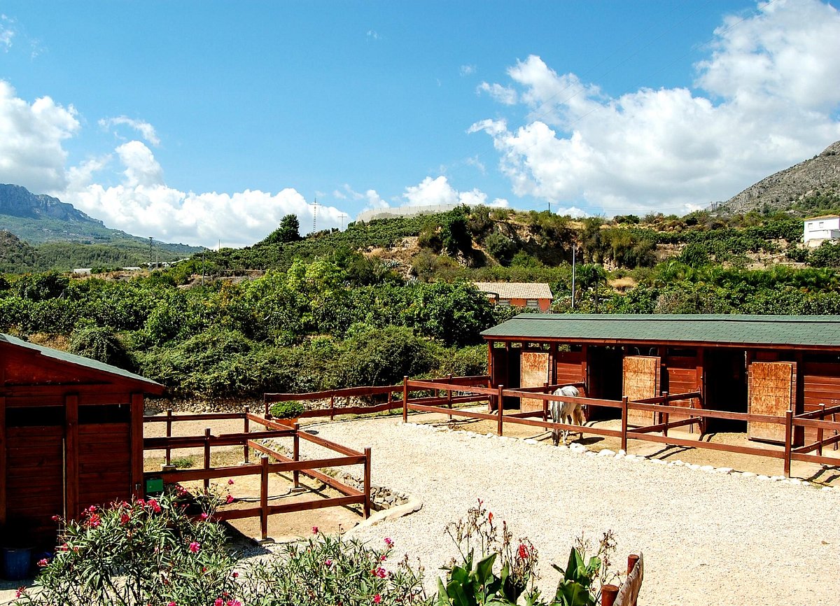 Rancho La Ofra, Аликанте: лучшие советы перед посещением - Tripadvisor