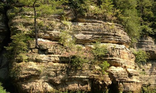 Kickapoo River