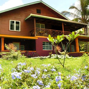 the views cottage