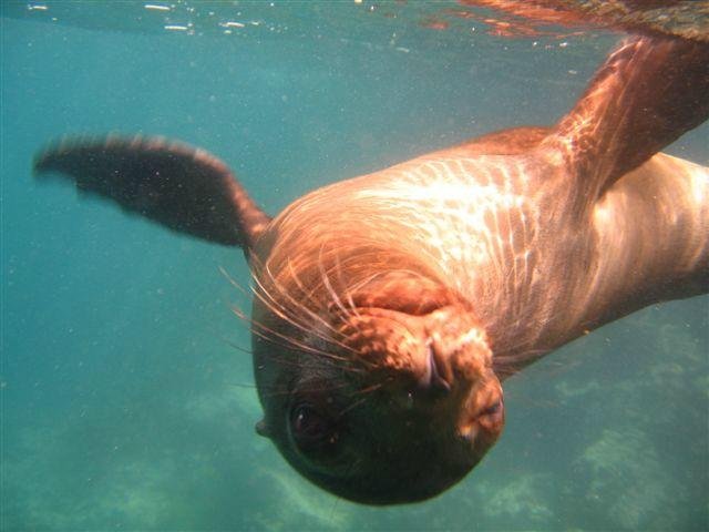 Sharksky Ecoadventures Galapagos (San Cristobal) - All You Need To Know ...