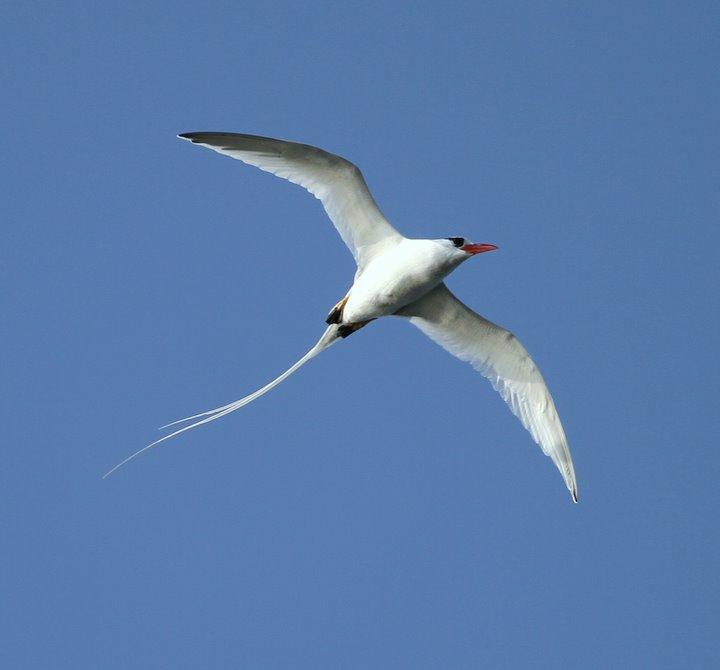 SHARKSKY ECOADVENTURES GALAPAGOS (San Cristobal) - All You Need To Know ...