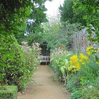 View of the garden in September